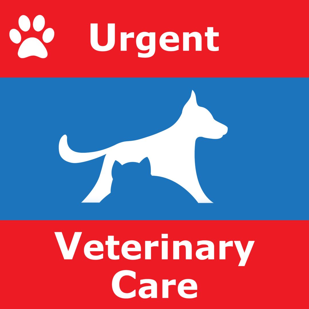 Urgent Veterinary Care