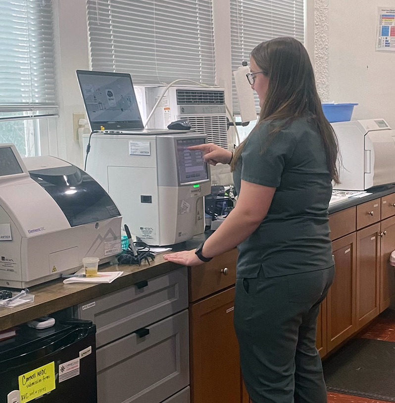 In-House Laboratory Testing